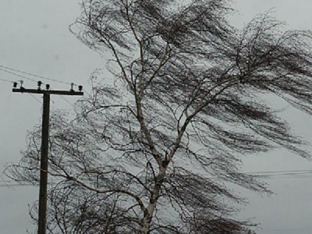 Sabahın hava PROQNOZU: Bakıda külək olacaq