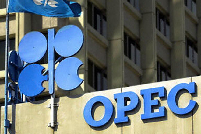 Azərbaycandan OPEC-in qərarına rəsmi REAKSİYA