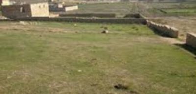 Qanunsuz torpaq zəbtetmələrinə qarşı mübarizə gücləndirilir