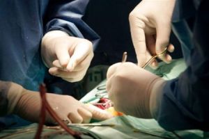 Transplantologiya üzrə Əlaqələndirici Şura yaradılıb