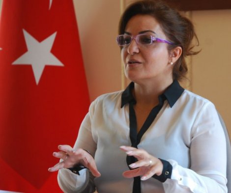 Azərbaycanlılar həmrəy ola biliblərmi? - Türkiyədə yaşayan azərbaycanlı professordan AÇIQLAMA   
