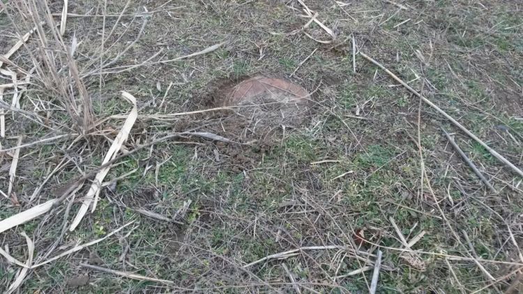 Cocuq Mərcanlıda xeyli sursat aşkarlandı 