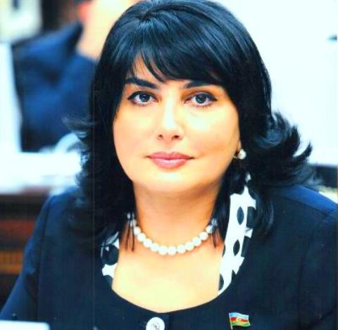 Jalə Əliyeva Milli Məclisin komitəsinə yeni &uuml;zv se&ccedil;ildi  