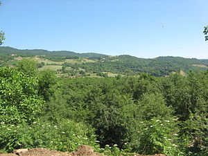 Azərbaycanda meşə torpaqların icarə m&uuml;ddəti 5 dəfə artırıldı  