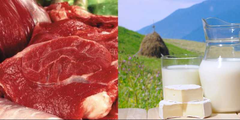 &Ouml;tən il sanitar normalara cavab verməyən məhsullar &ndash; RƏSMİ