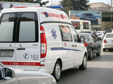 Üzüm tənəklərinin qurbanı oldu