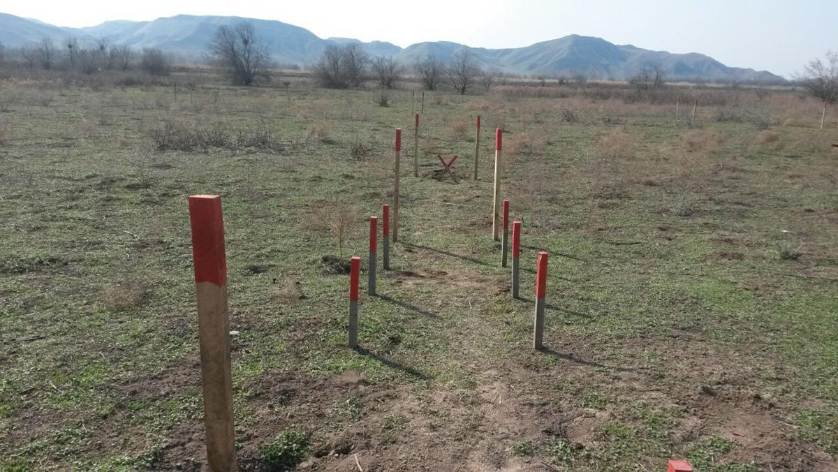 Cocuq Mərcanlıda xeyli sayda partlamamış sursat tapılıb