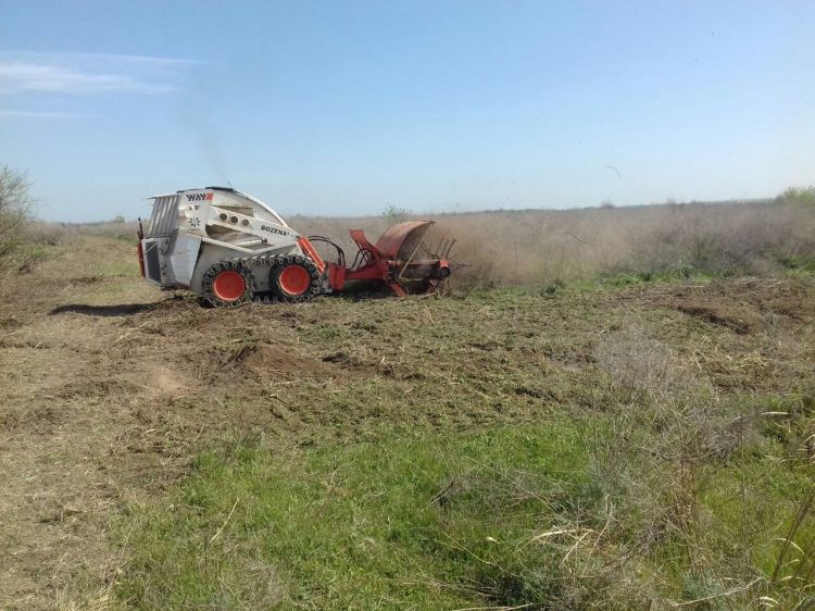 Cocuq Mərcanlıda 1,5 milyon kv. m-dən çox ərazi yoxlanılıb