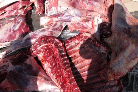 Ölmüş eşşəkləri kolbasa edib satanlar tutuldu