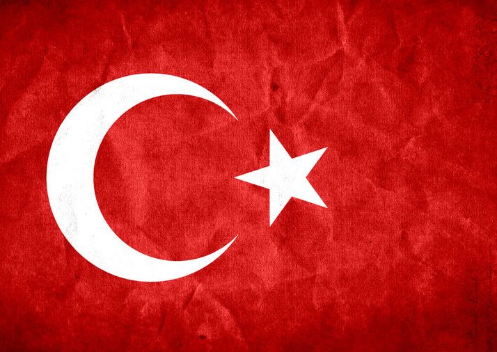 CHP referendum nəticələrinin ləğvi üçün Ali Seçki Komissiyasına müraciət edib