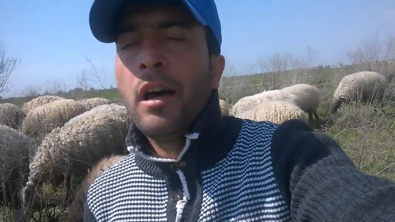 Qoyun otararkən oxuduğu mahnı ilə məşhurlaşan gənc Konservatoriyada - VİDEO 