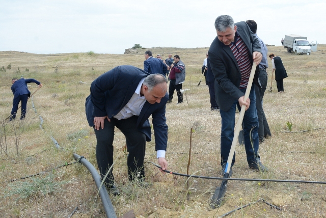 UNEC-də yaşıl marafon