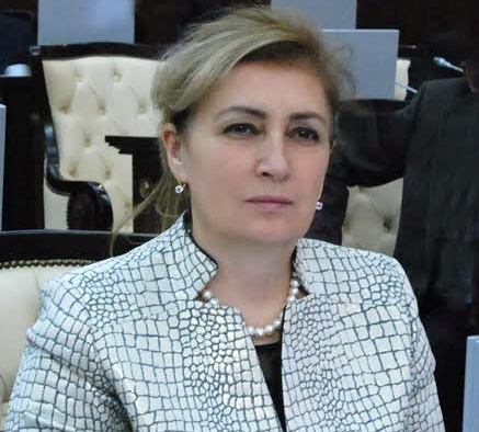 Deputatdan sosial şəbəkələrlə bağlı TƏKLİF: monitorinq aparılsın!