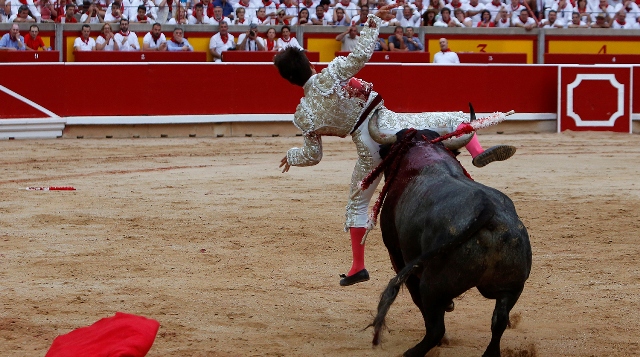 İspaniyada 800 illik qanlı ənənə -Korrida yarışlarından FOTOLAR