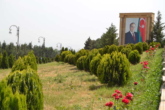 Füzulinin işğaldan azad olunmuş ərazilərində yaşıllaşdırma aparılır