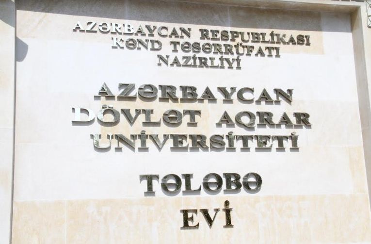 48 yaşlı abituriyent  əyani təhsili seçib - FOTO