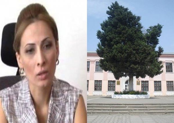 Daha bir direktor jurnalisti təhqir etdi: “Qələt edib mənə zəng vurmusunuz!”   