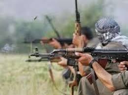 PKK terrorçuları Türkiyədə mikroavtobusu atəşə tutdu: 3 ölü