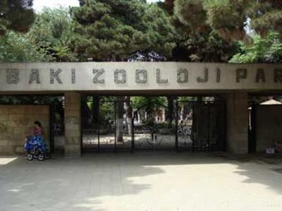 Bakıya yeni heyvanlar gətirildi  