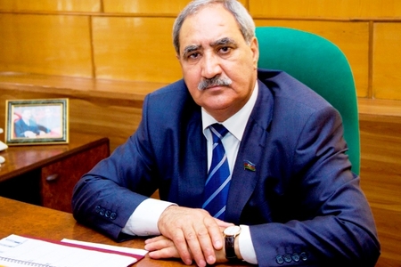 Deputat Fəzail Ağamalının oğlu maşınla adam vurub