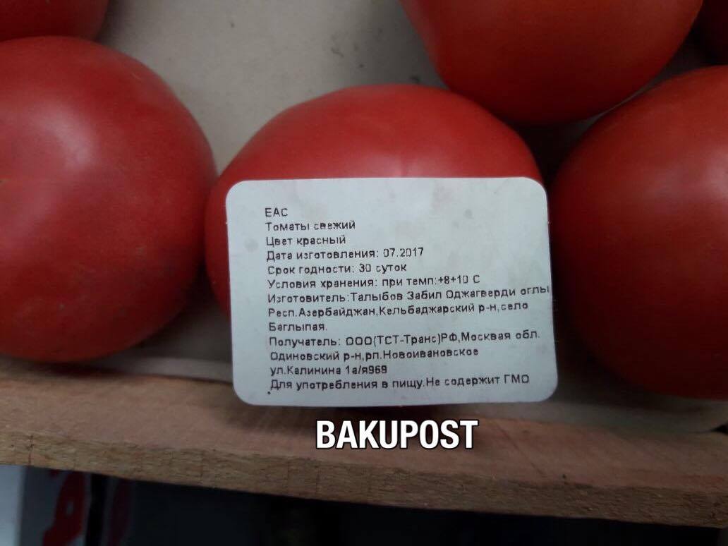 Kəlbəcərdə pomidor yetişdirib Moskvada satan azərbaycanlı fermer 