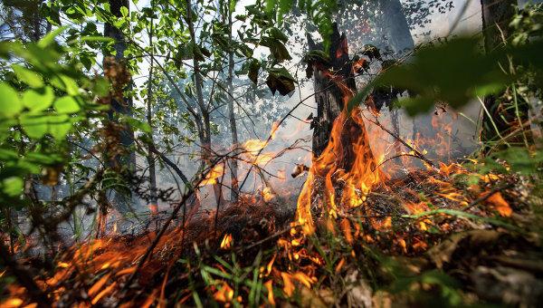 Kaliforniyadakı meşə yanğınlarında 17 nəfər öldü