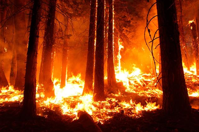 Kaliforniyada meşə yanğınları: ölü sayı 27-ə çatdı