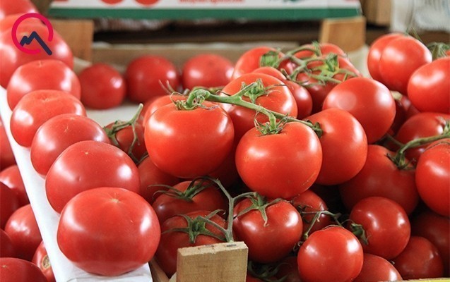 Azərbaycandan Rusiyaya aparılan 33 ton pomidor geri qaytarıldı