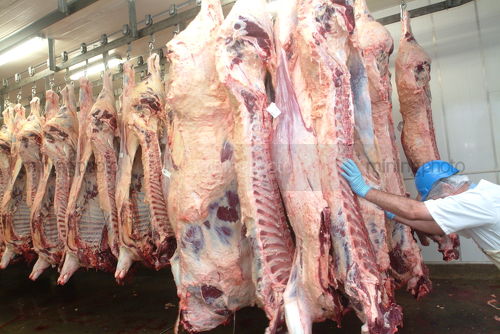 Bakıdakı ət dükanlarənda reyd keçirildi - cərimələr kəsildi