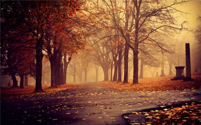 Noyabrın HAVA PROQNOZU a&ccedil;ıqlandı