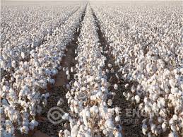 195 sahibkara güzəştli kredit verildi