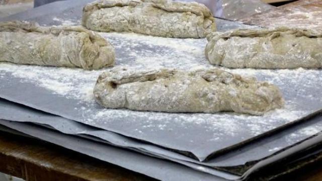 Çəyirtkədən bol proteinli, dadlı çörək hazırlayırlar