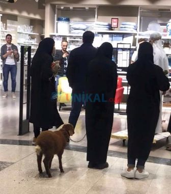 Ərəblər “Gənclik Mall”a quzu ilə girdi - FOTO