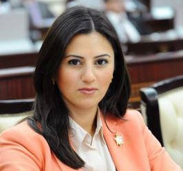 Azərbaycanlı deputatın hesabatı AŞPA-da m&uuml;zakirə olundu