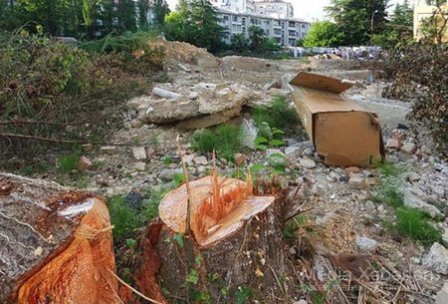 2017-nin fevralında qanunsuz ağac kəsənlər indi saxlanıldı