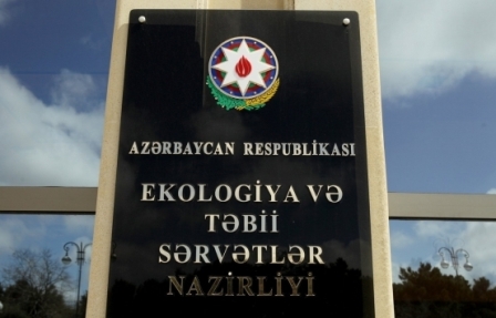 Bakıda ağaclar qəsdən quruduldu