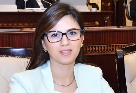 Azərbaycanlı deputat AŞPA-nın alt komitəsinin sədri seçildi