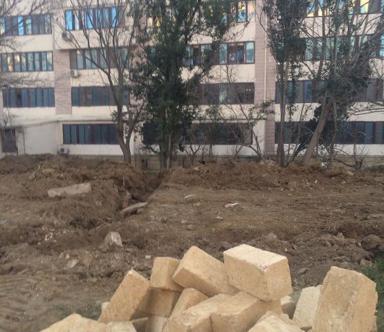 Binəqədi sakinlərindən şikayət - Ağacları kəsirlər - FOTO   