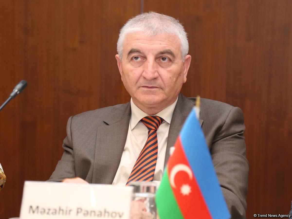 Məzahir Pənahov ATƏT DTİHB-nı tənqid etdi