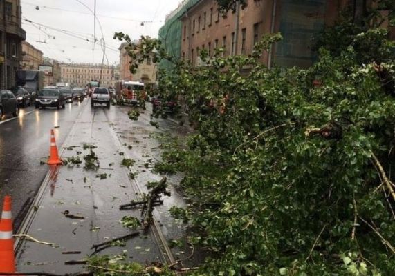 Moskvada güclü qasırğa -  2  ölü, 17  yaralı