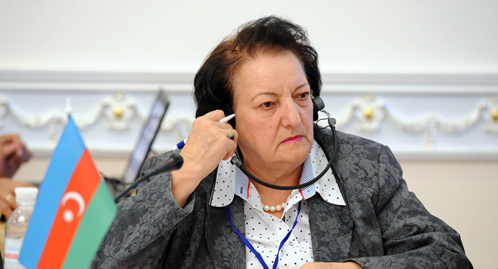 Elmira Süleymanova parlamentdə hesabat verir