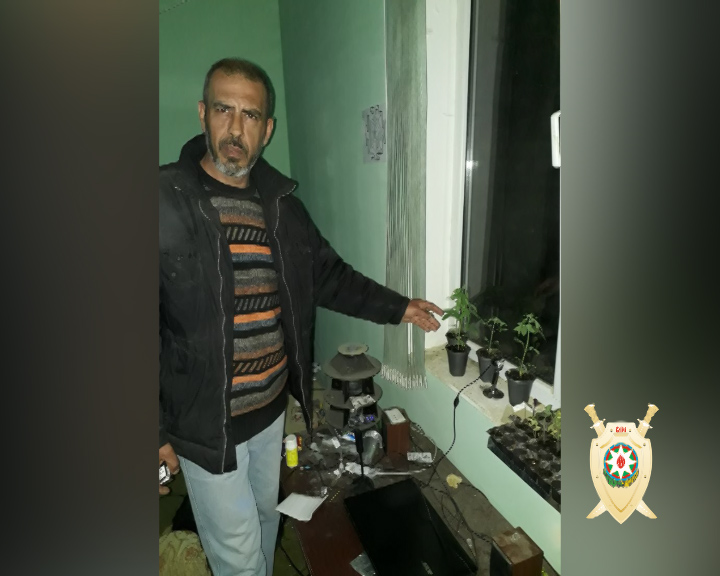 Yaşadığı evdə narkotik becərən şəxs saxlanıldı