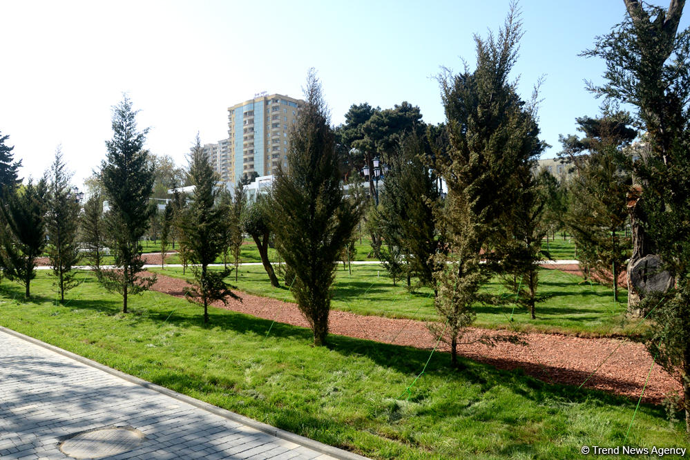 100 min hektarlıq yeni milli park yaradılacaq