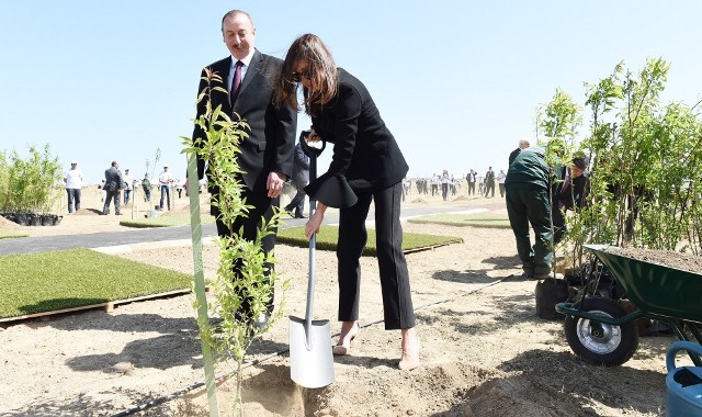 Prezident və birinci xanım ağacəkmə aksiyasında