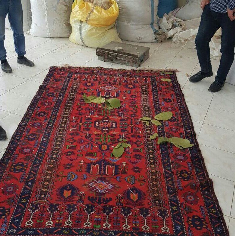 Qubada xal&ccedil;a oğrusu TUTULDU