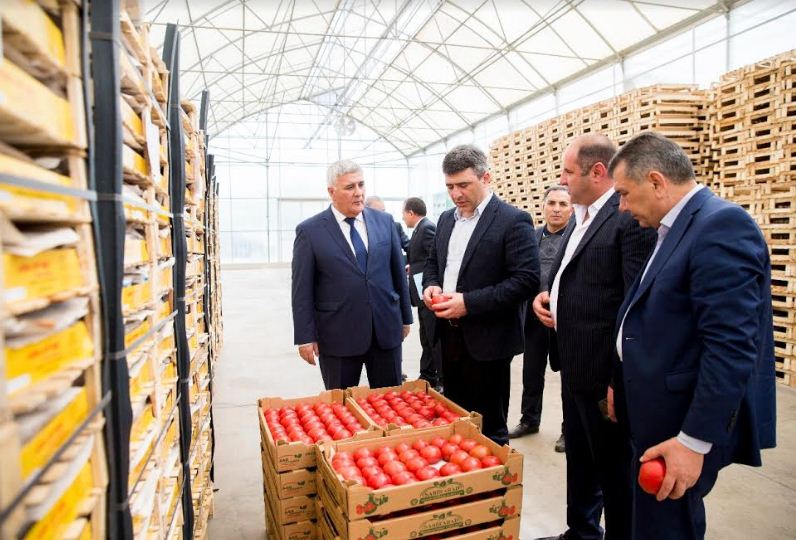 İnam Kərimovun b&ouml;lgələrə səfəri davam edir