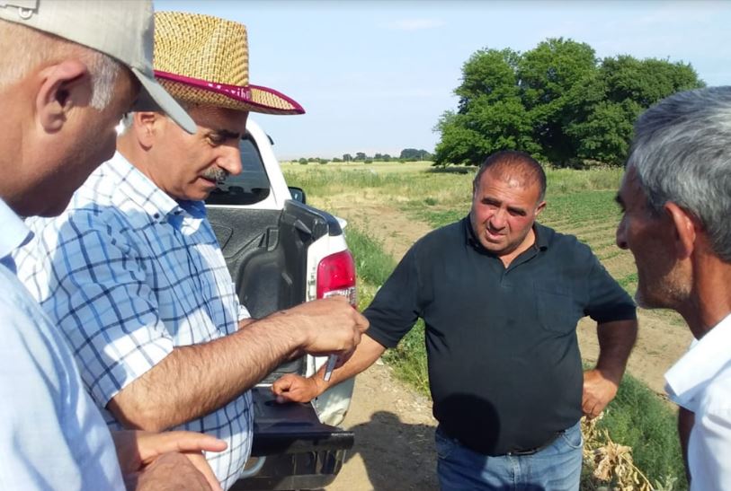 Pambıq&ccedil;ılıqda məhsuldarlığın artırılması ilə bağlı təlimlər davam edir