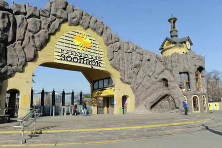 Zoopark bağlandı -  SƏBƏB