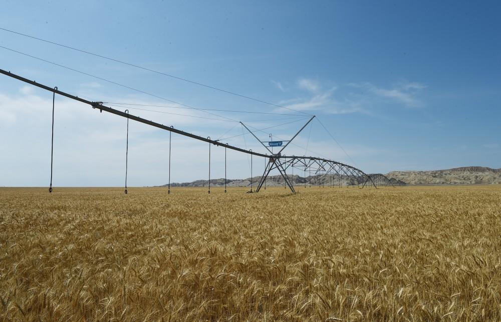 İlham Əliyev Goranboyda &ldquo;Region Agro&rdquo; MMC-nin a&ccedil;ılışında&nbsp;