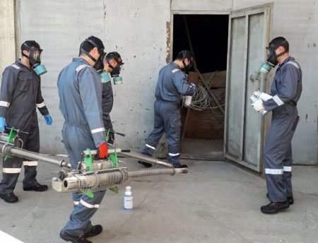 Toxum anbarlarında fumiqasiya tədbirləri aparılır